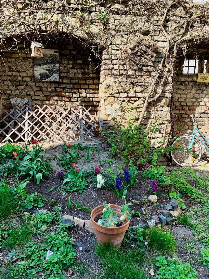 House With Courtyard & Parking Close To Stadtpark Casa vacanze *